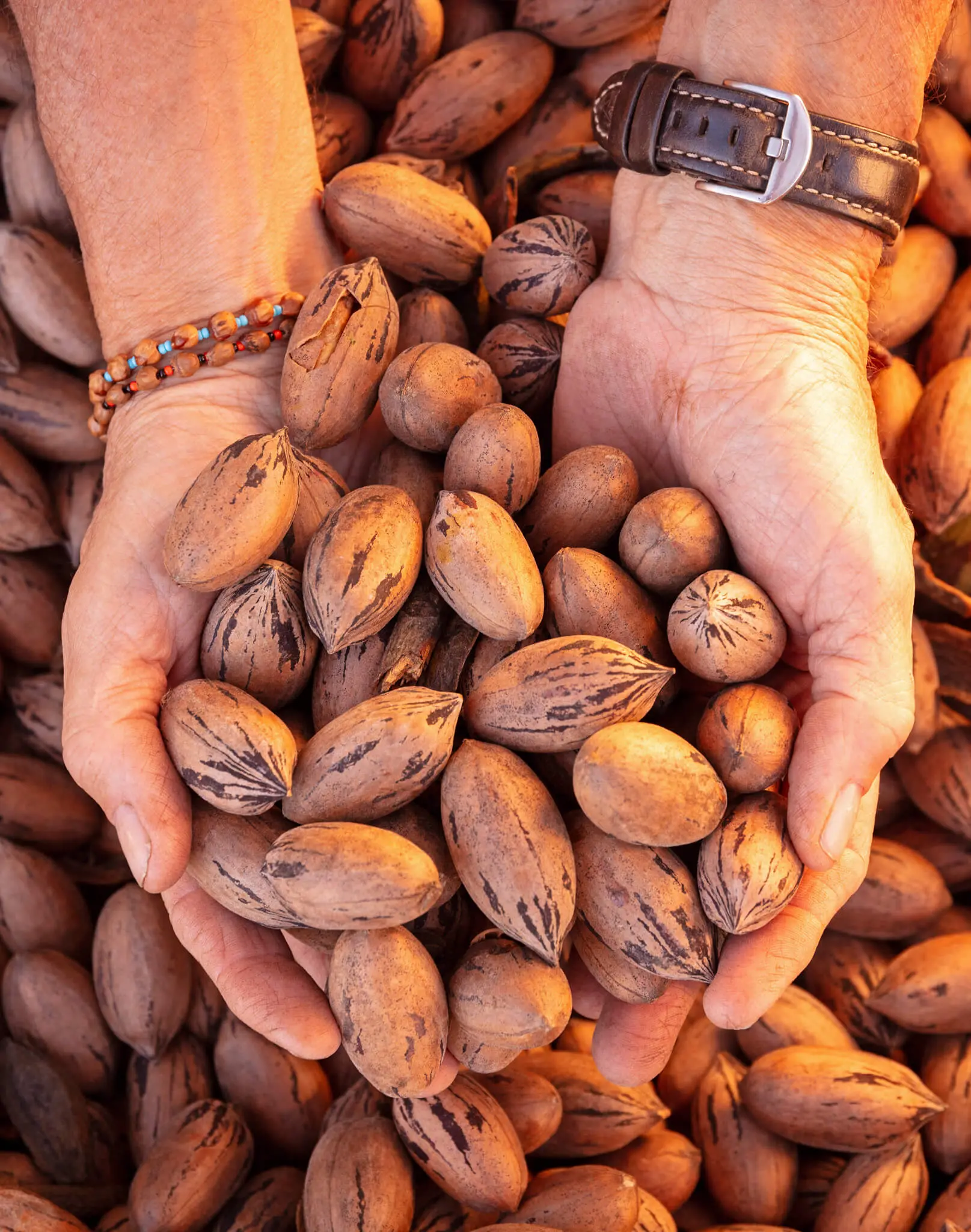 Go Nuts at Keo’s Arkansas Pecan Festival