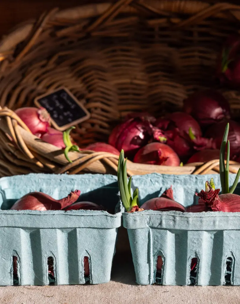 More Markets to Shop